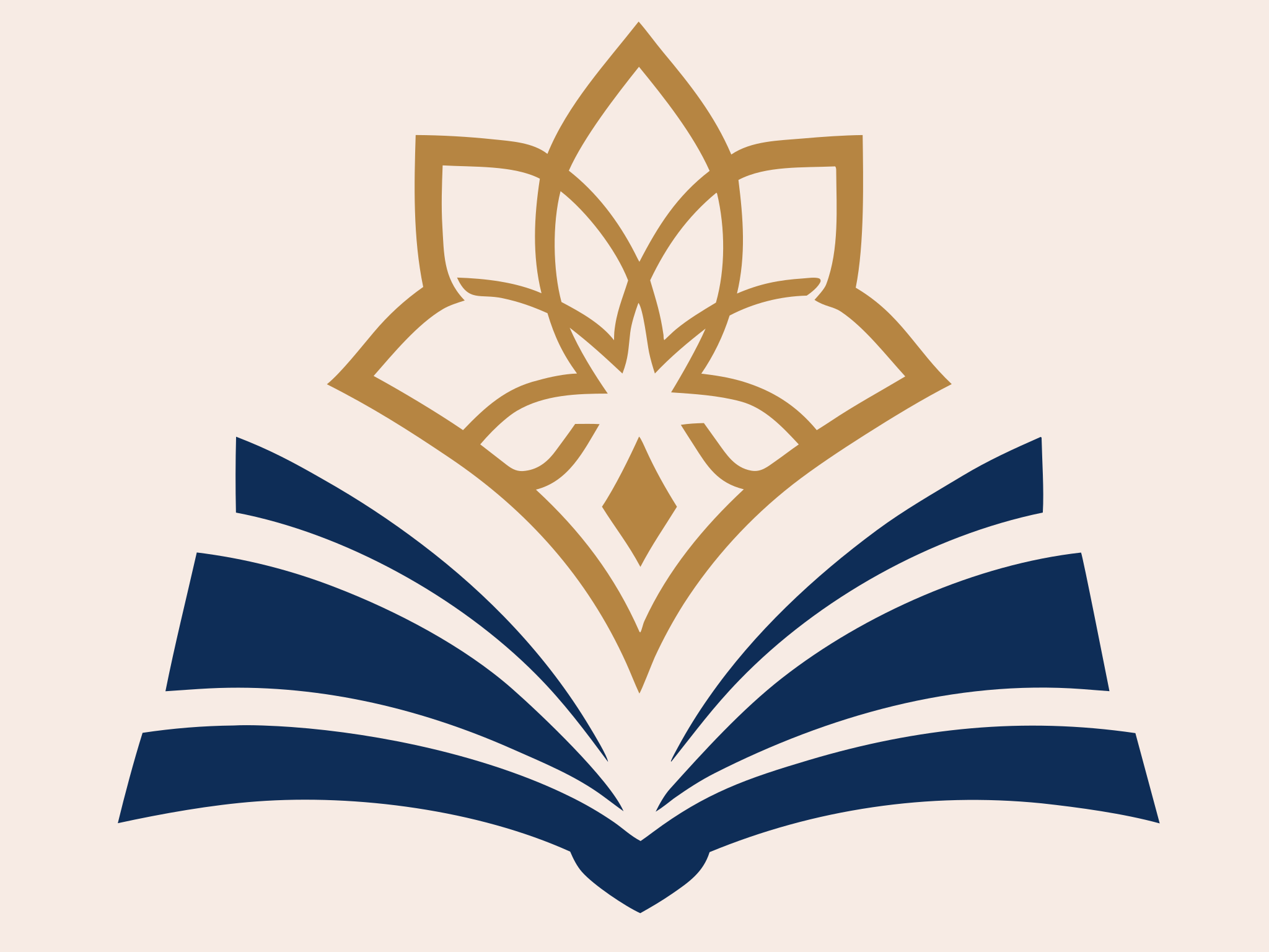 Samsun Düşünce Akademisi Logo